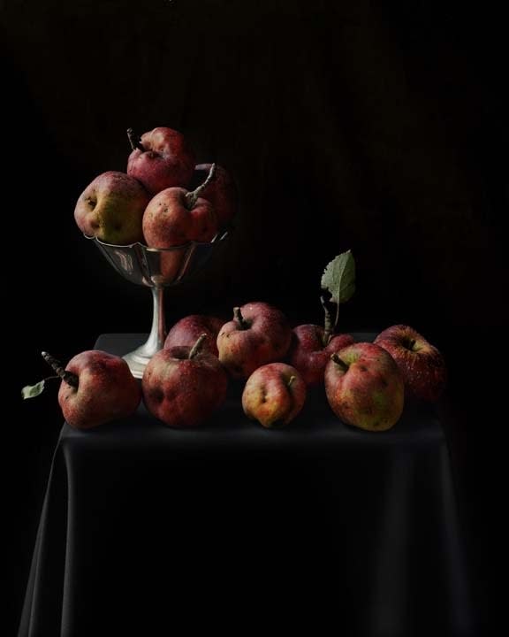Tom Baril, Apple Still Life (863), 2007