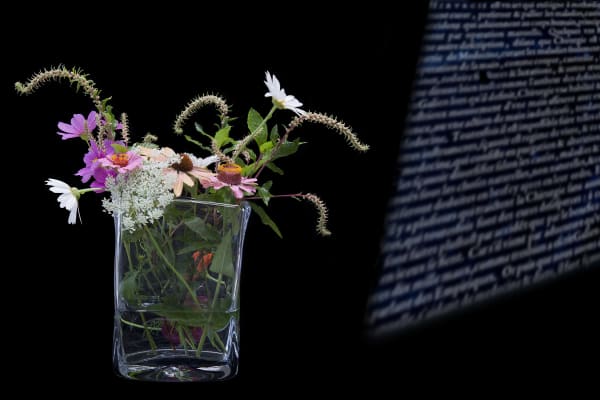 Olivia Parker, Unruly Flowers, 2011