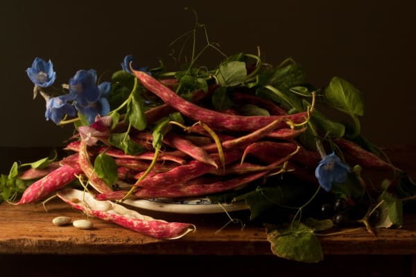 Paulette Tavormina, Cranberry Beans, After G.G., 2009