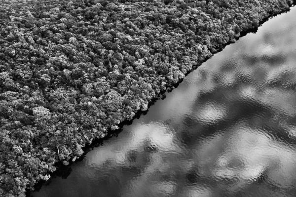 Sebastião Salgado, State of Amazonas, Brazil, 2009