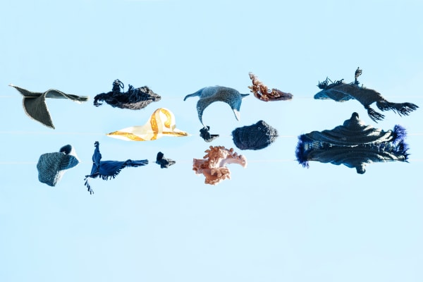 Sally Gall, Oceania, 2015