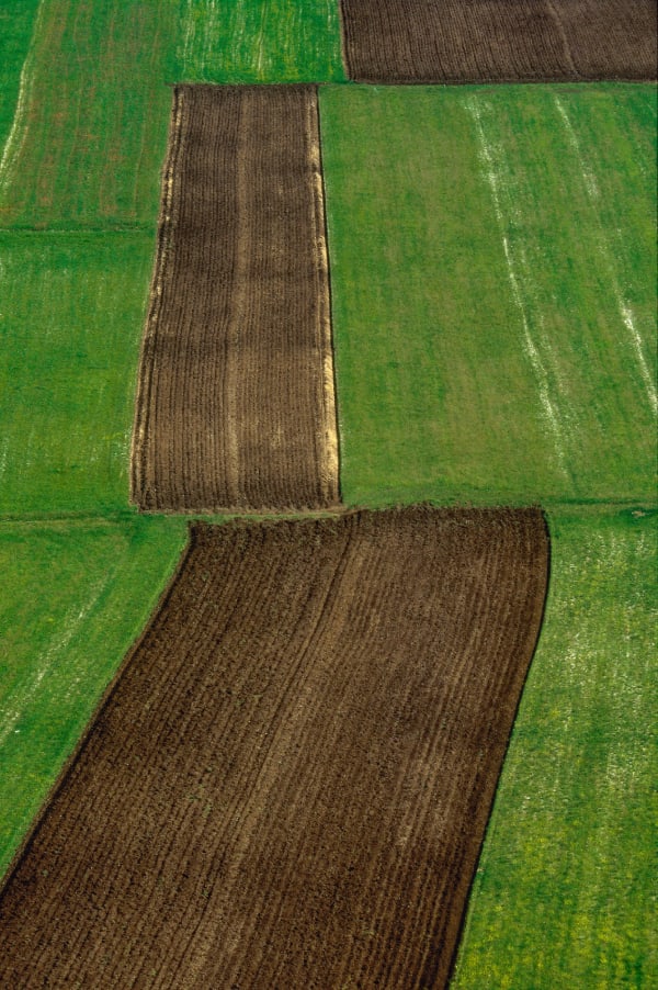 Franco Fontana, Piana Di Castelluccio, 1994