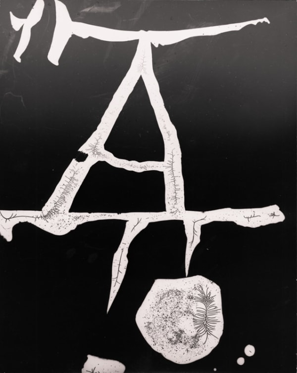 György Kepes, Untitled photogram, 1940