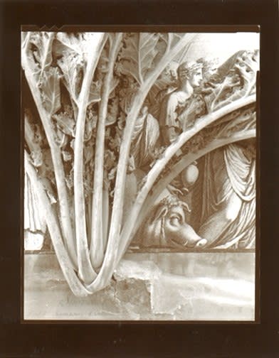 Olivia Parker, Procession (6)