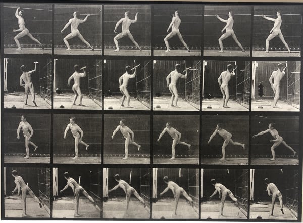 Eadweard Muybridge, Animal Locomotion, Plate 360 (Javelin Thrower), 1887