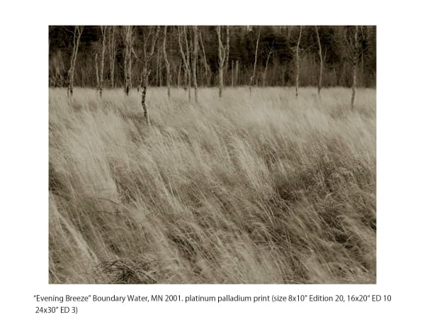 Koichiro Kurita, Evening Breeze, Boundary Water Canoe Area, Minnesota, 2001