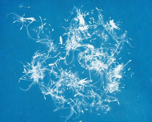 Gohar Dashti, Still Life #13, 2017