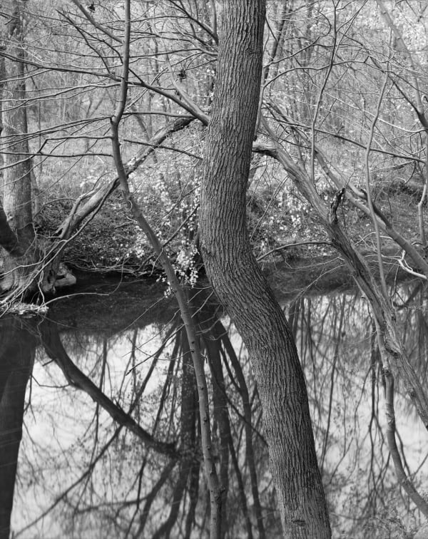 Lois Conner, Brandywine River, Pennsylvania, 1979-1983
