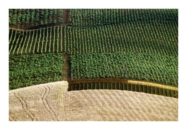 Franco Fontana, Sicilia, 1992