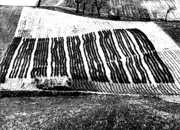 Mario Giacomelli, Paesaggio 4, 1965