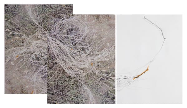 Sandi Haber Fifield, Untitled (LF16 #106), 2016