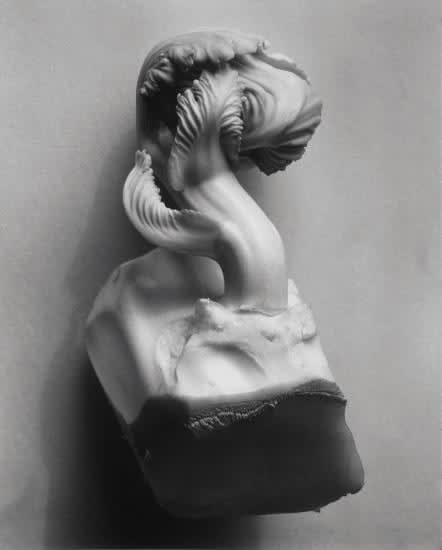 Edward Weston, Cabbage Fragment, 1931