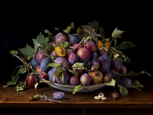 Paulette Tavormina, Italian Plums, After G.G., 2015