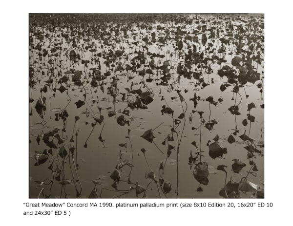 Koichiro Kurita, Great Meadows, Concord, Massachusetts, 1990