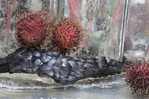 Olivia Parker, Rambutans, 2014