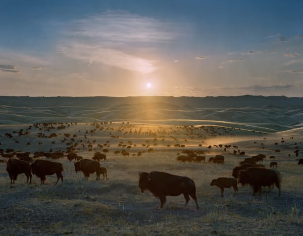 Andrew Moore, Buffalo, 2005