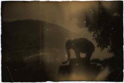 Masao Yamamoto, Nakazora #1070, 2000