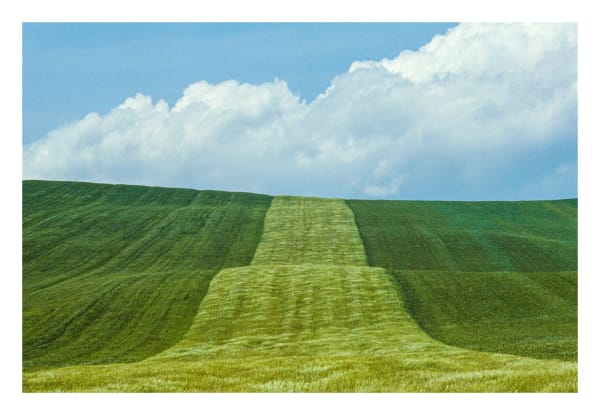 Franco Fontana, Basilicata, 1985