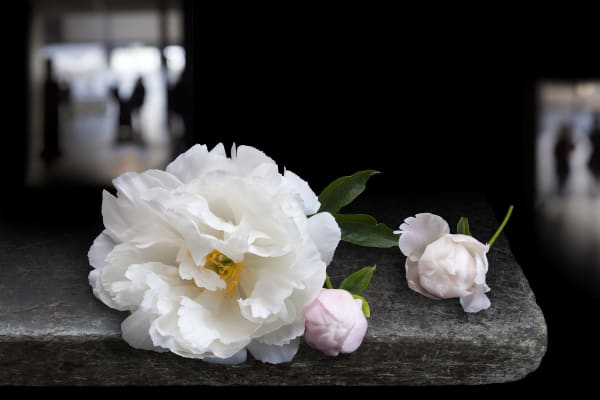 Olivia Parker, Peony Room, 2012