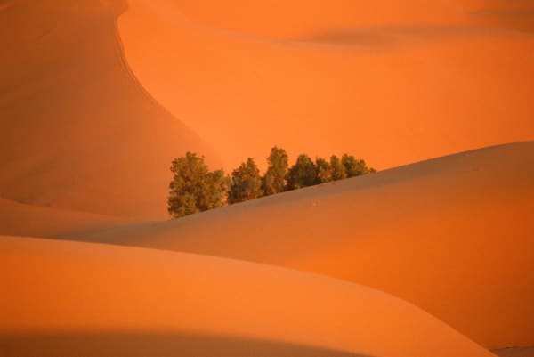 Franco Fontana, Deserto Erfoud (Morocco), 1992
