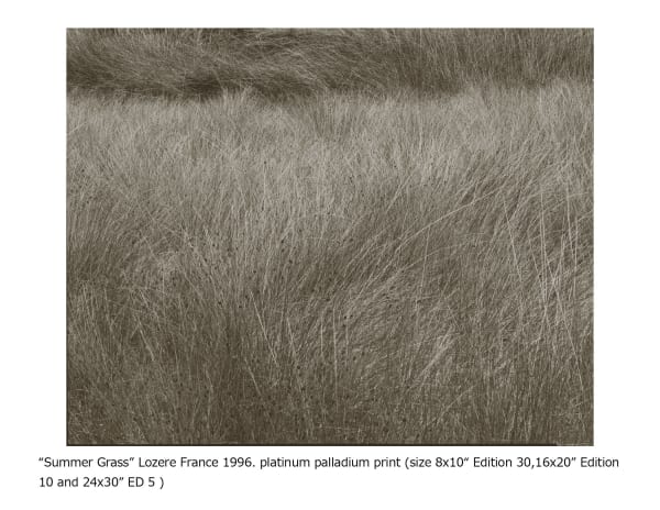 Koichiro Kurita, Summer Grass, Lozere, France, 1996