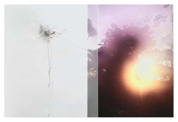 Sandi Haber Fifield, Untitled (LF16 #146), 2016