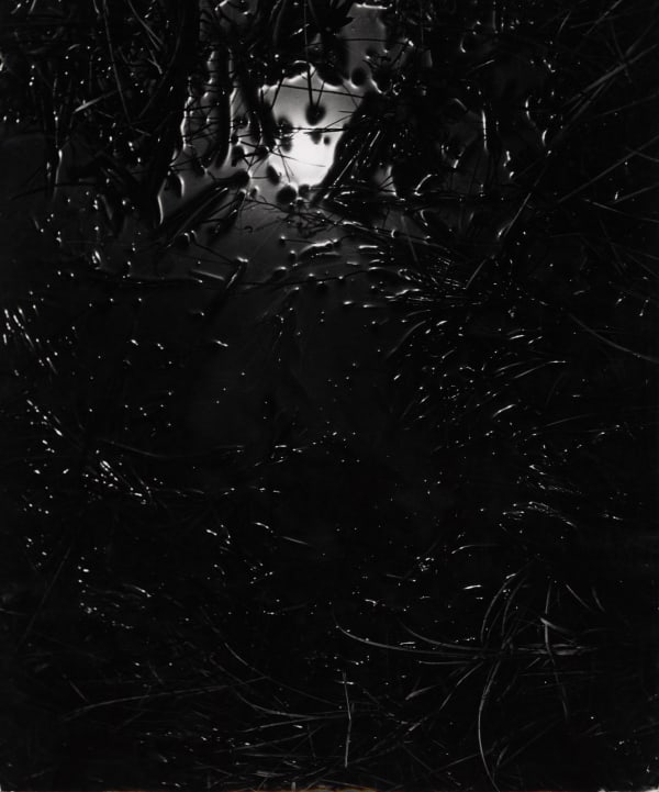 György Kepes, Sun in Water, c. 1940