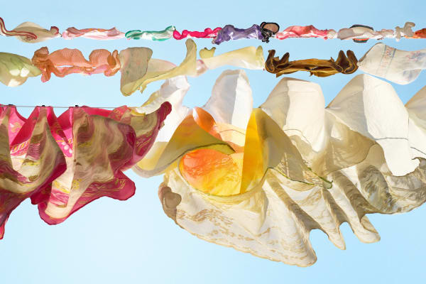 Sally Gall, Fantasia, 2015