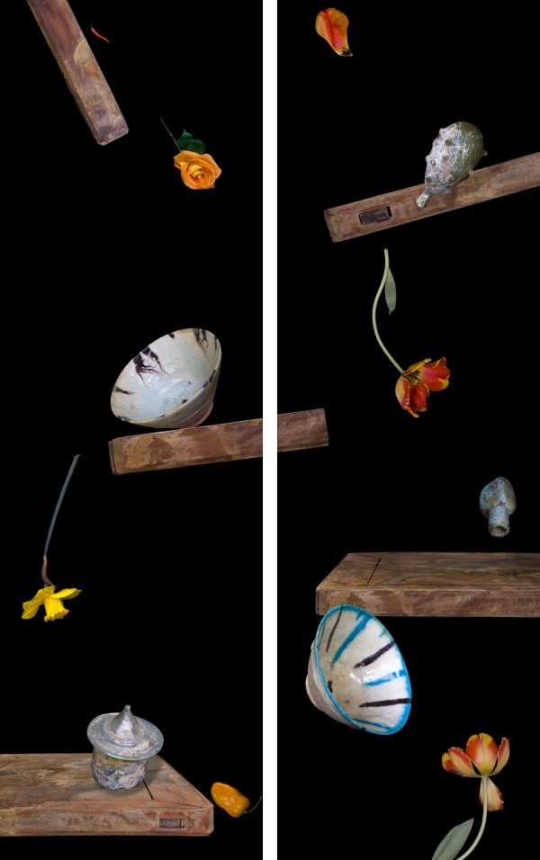 Olivia Parker, Not So Still Life (diptych), 2009
