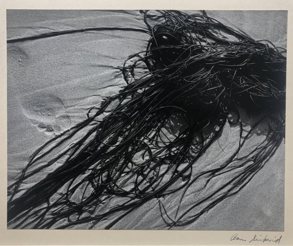 Aaron Siskind, Seaweed with Footprint, 1940