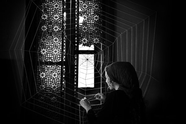 Shadi Ghadirian, Miss Butterfly #11, 2011