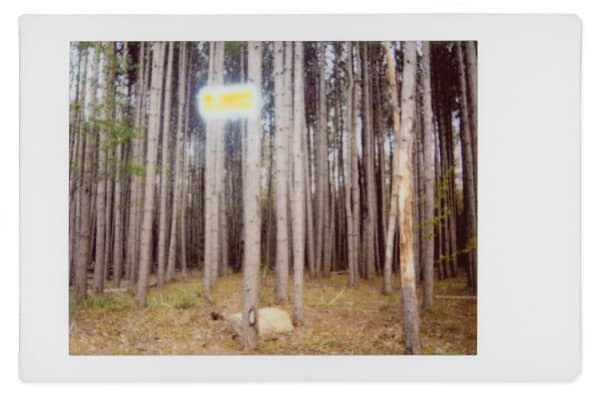 Gohar Dashti, Alien #5, 2017