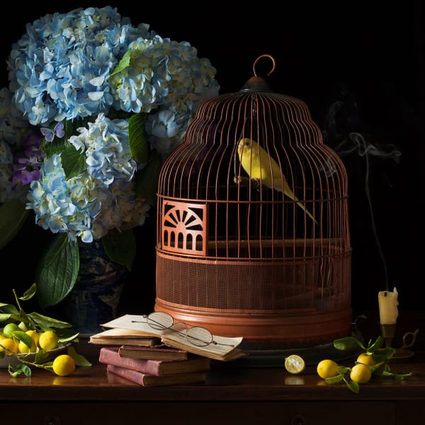 Paulette Tavormina, Anthony and Cleopatra, 2017