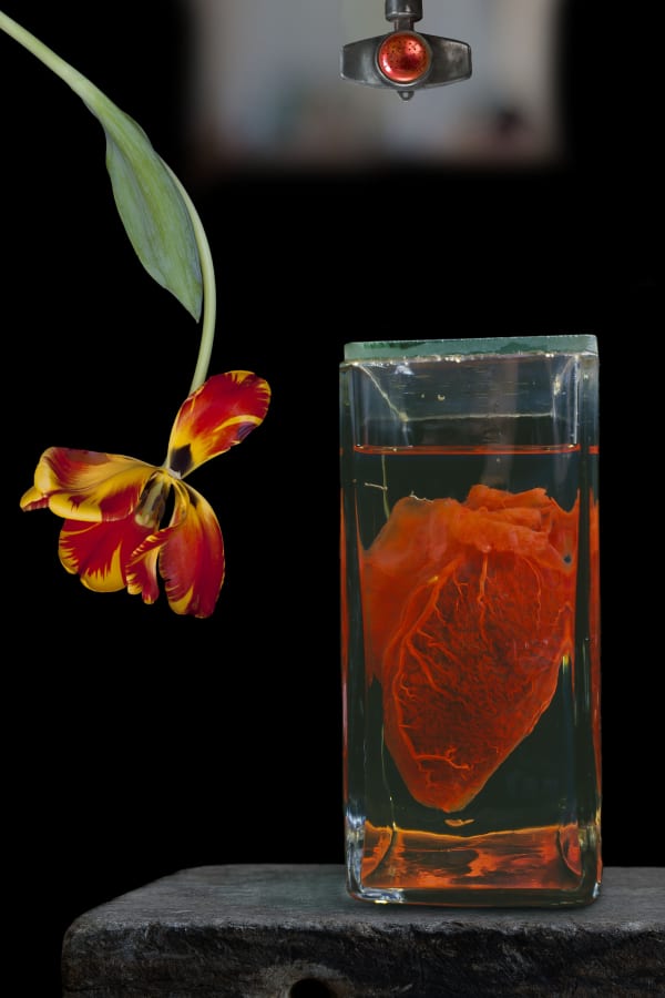 Olivia Parker, Heart and Flower, 2010