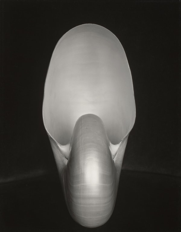 Edward Weston, 1927