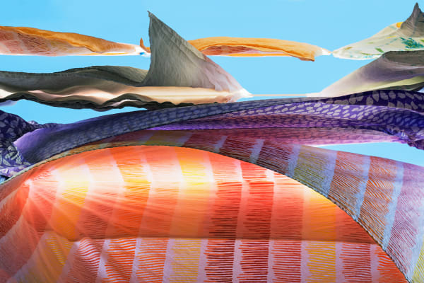 Sally Gall, Composition #1, 2015