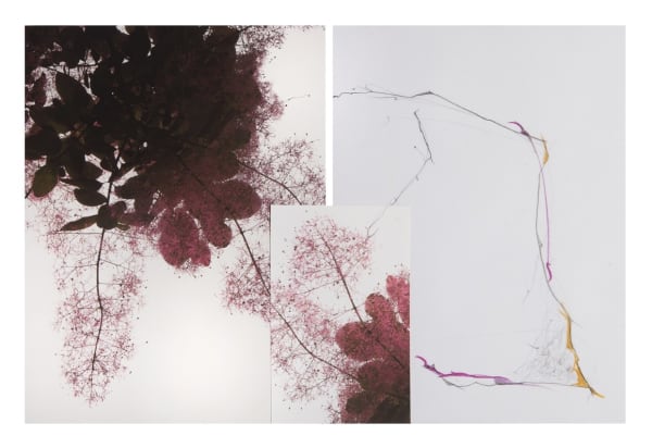 Sandi Haber Fifield, Untitled (LF16 #136), 2016