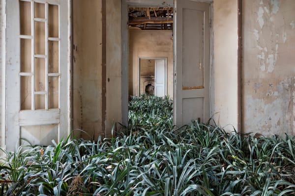 Gohar Dashti, HOME #2, 2017