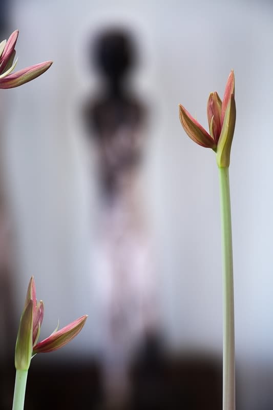 Olivia Parker, Figure, 2012
