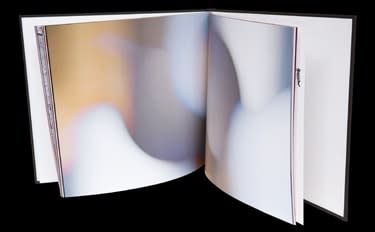 Olivia Parker, Picture Book, 2008