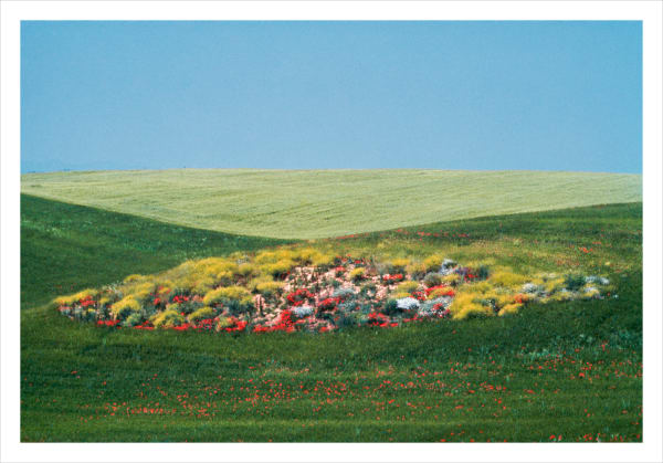Franco Fontana, Basilicata, 1975