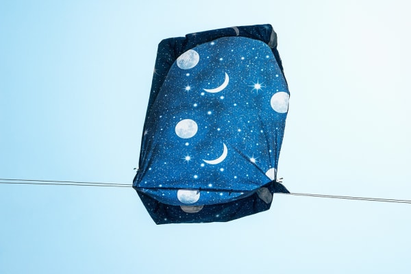 Sally Gall, Eclipse, 2017