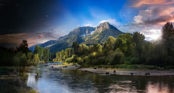 Stephen Wilkes, Grizzly Bears, Bella Coola, British Columbia, Day to Night, 2018