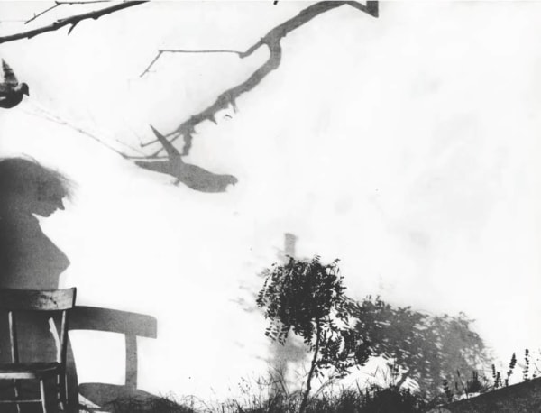 Mario Giacomelli, Wall and Shadows