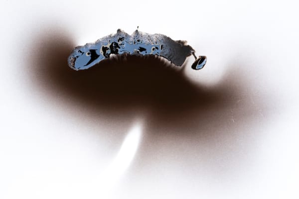 Olivia Parker, Ink 101, 2022