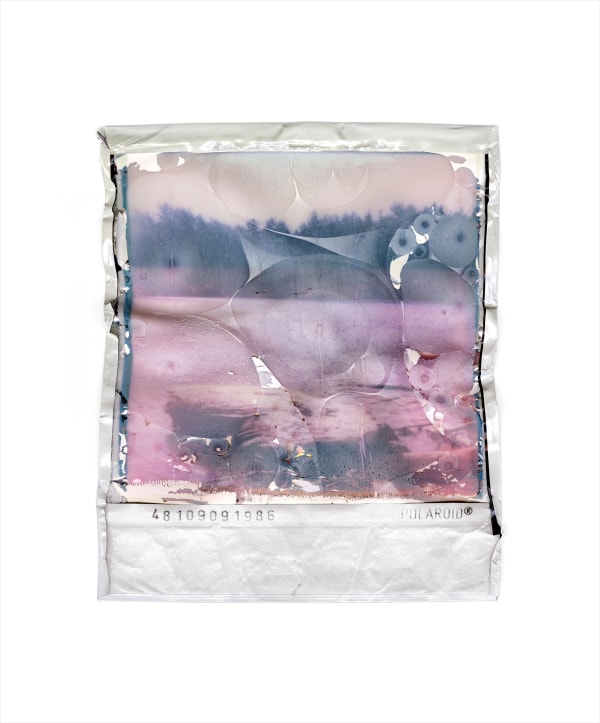 Gohar Dashti, Disappearing Nature #7, 2022