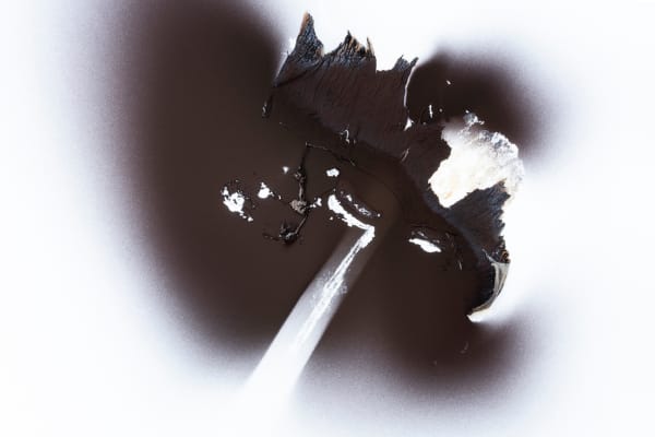 Olivia Parker, Ink 93, 2021