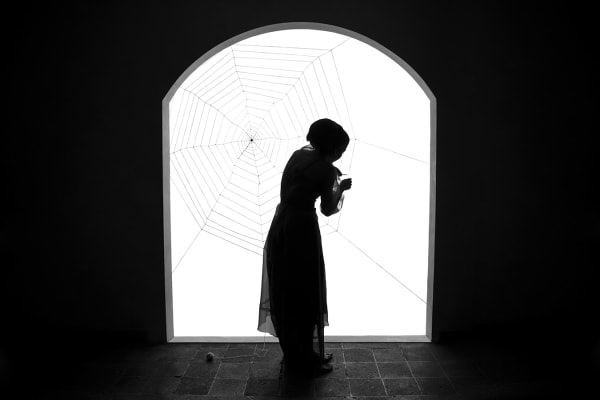 Shadi Ghadirian, Miss Butterfly #6, 2011