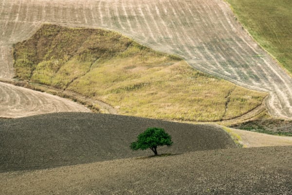 Franco Fontana, Sicilia, 2007