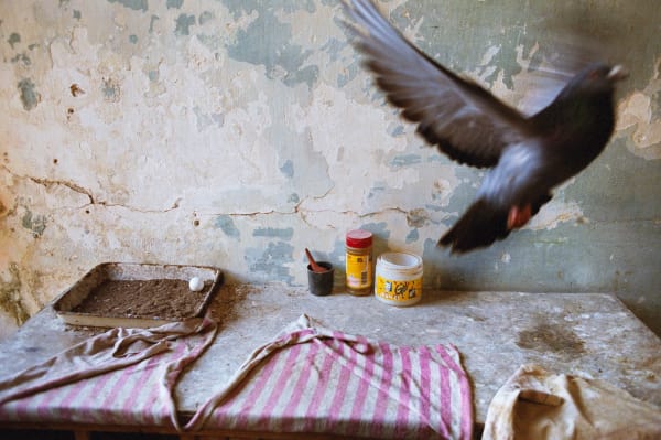 Rebecca Norris Webb, Havana, 2007